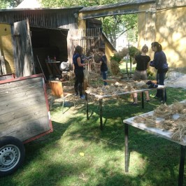 Dožínky ErntedankWiese Patzmannsdorf