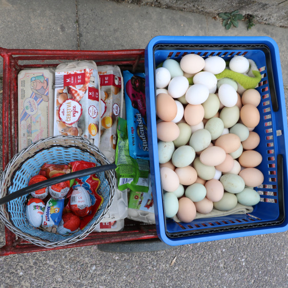 Smrtelnošky v Dědicích