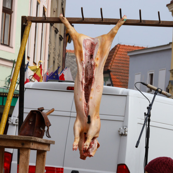 Masopust Jindřichův Hradec